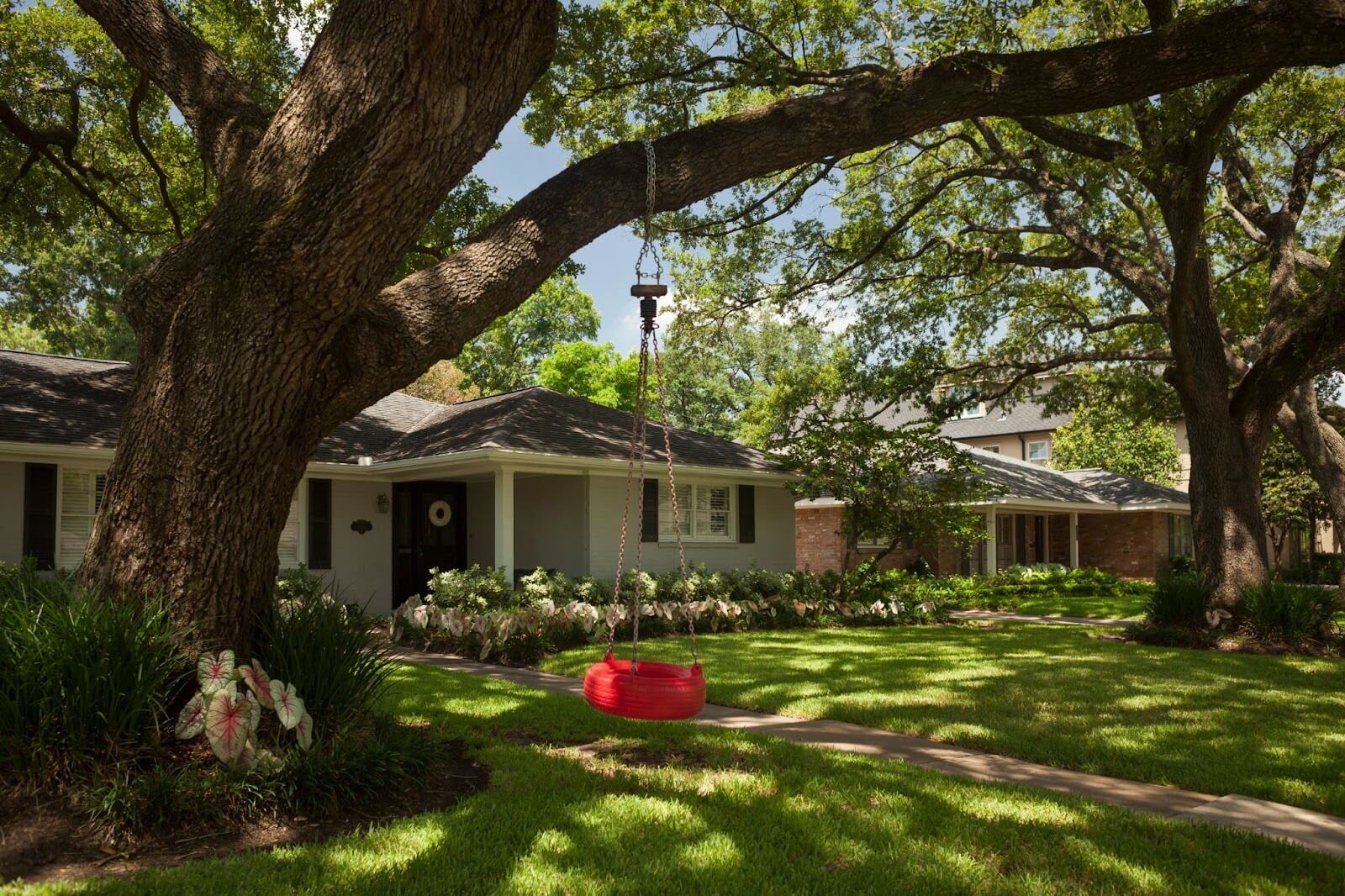 Front yard of a home with mature oak trees and a red tire swing, ideal for a Houston real estate agent to feature in property listings